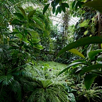 Botanická zahrada Teplice (© Botanicka; Wikipedia; CC BY-SA 4.0)
